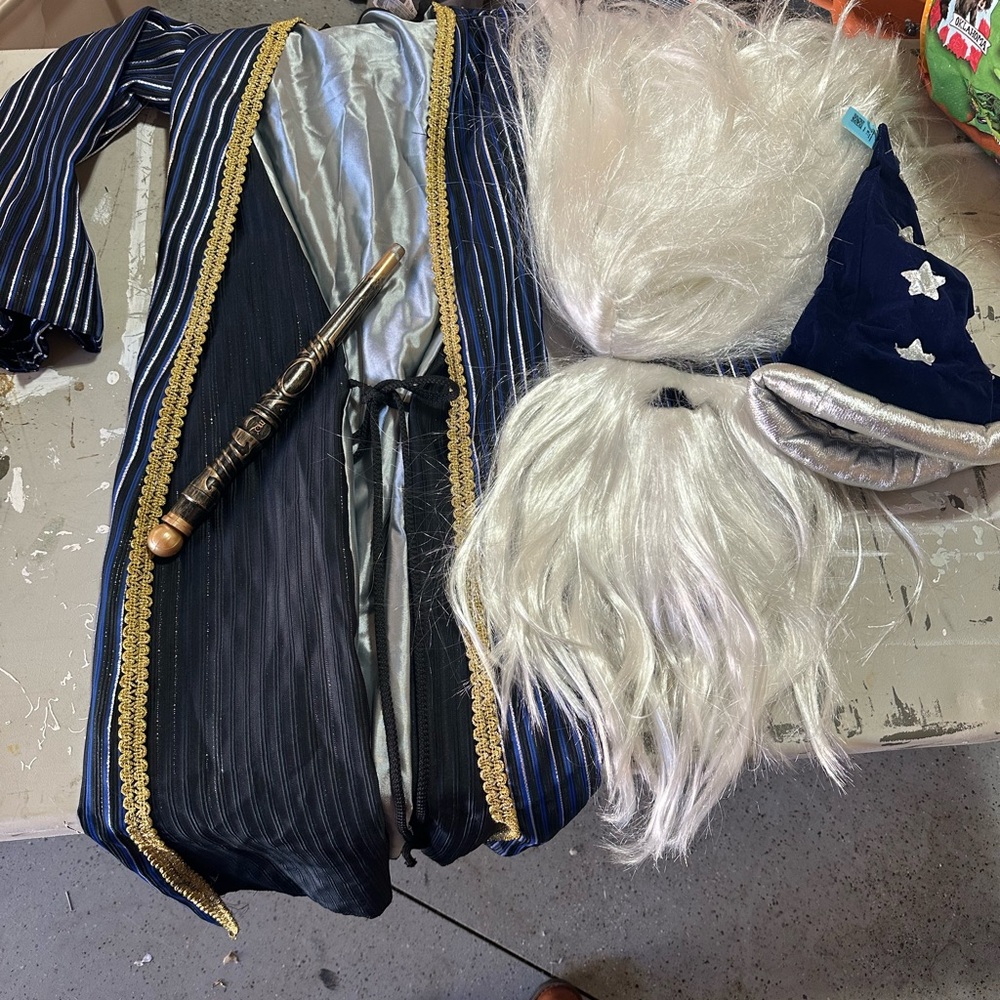 Wizard Costume Set with Robe, Hat, and Beard